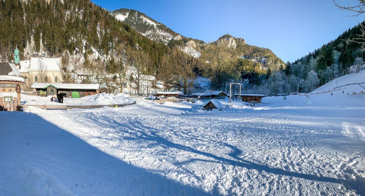 Kinderhotel Appelhof Mürzsteg Exterior foto